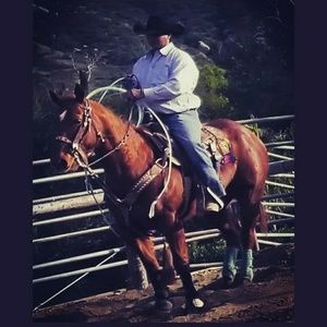 Meet your Posher, Joey